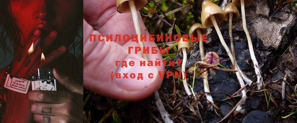 ALPHA PVP Алексеевка
