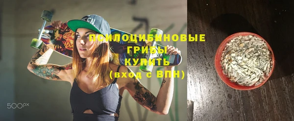 ECSTASY Алзамай