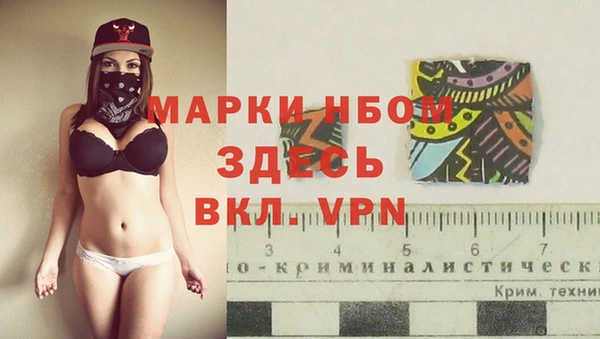 ECSTASY Алзамай