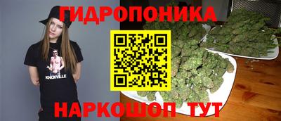 спайс Можга