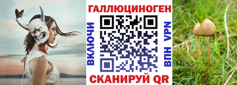 Галлюциногенные грибы мицелий Кореновск