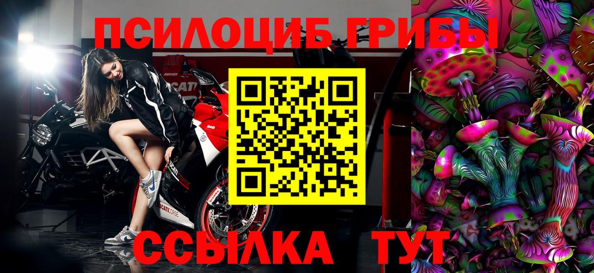 наркотики  Псилоцибиновые грибы мицелий  Вход с VPN  Кореновск 
