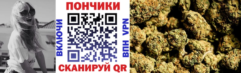 Шишки марихуана марихуана  Кореновск 